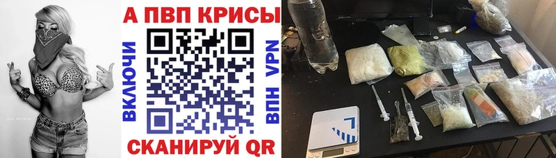 APVP СК  Владимир 