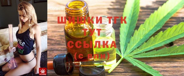 PSILOCYBIN Майский