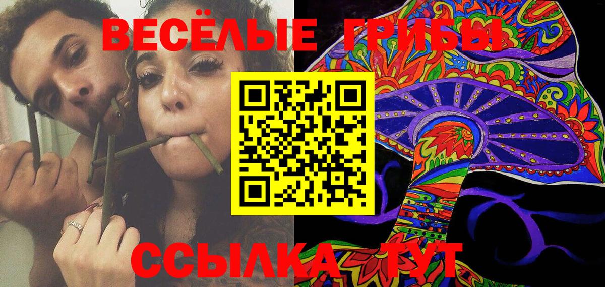 Псилоцибиновые грибы прущие грибы Владимир