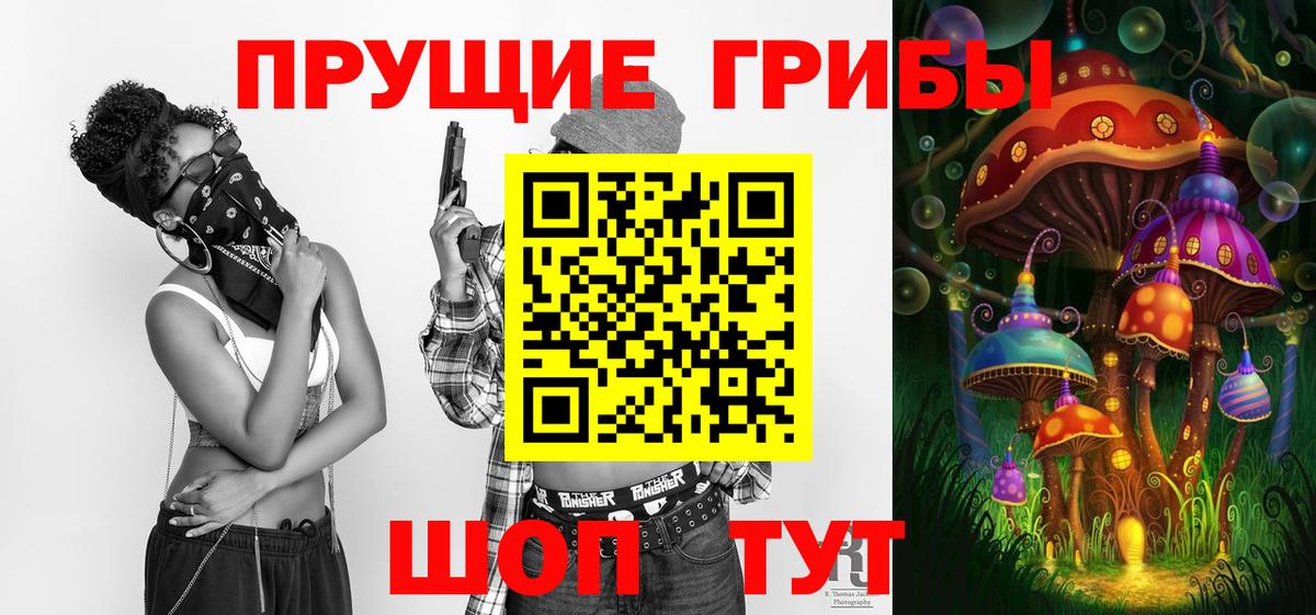 Псилоцибиновые грибы прущие грибы  Вход с VPN  Владимир 