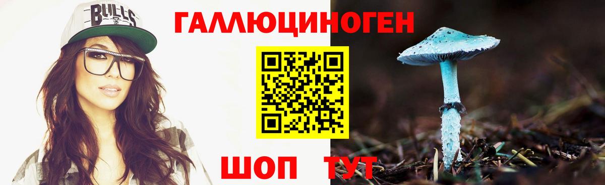Галлюциногенные грибы прущие грибы Владимир