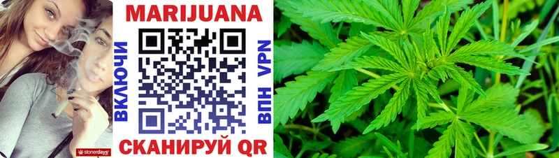 где можно купить наркотик  Владимир  MEGA tor  Бошки Шишки LSD WEED 